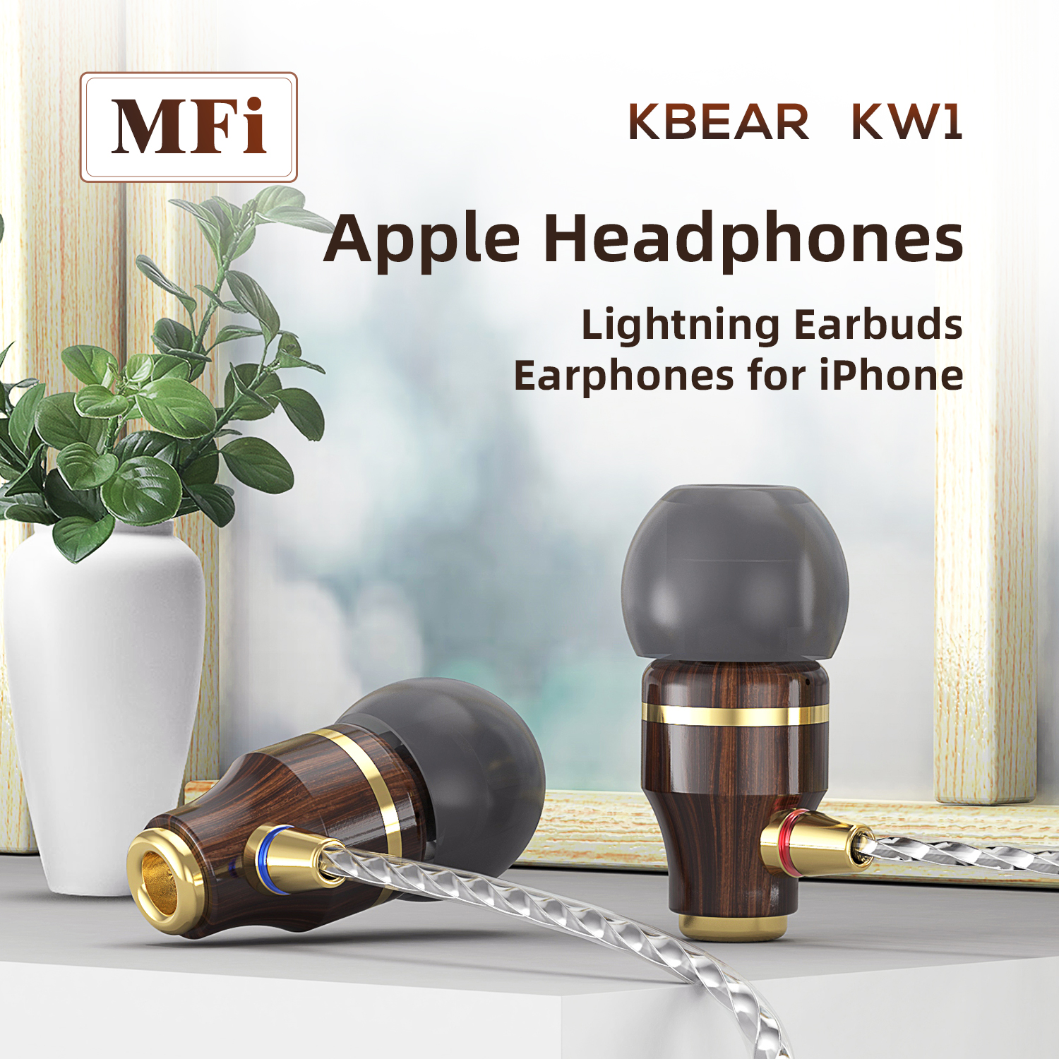 Desk Hifi Setup - KBEAR KW1 Wooden Single DD In-Ear
